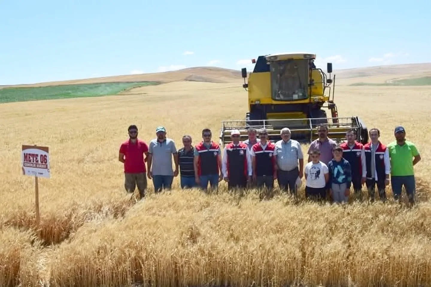 Yerköy’de gerçekleştirilen ilk buğday demonstrasyon hasadında yerli ve milli tohumların