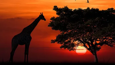 Gün batımının en etkileyici manzaralarını keşfetmek için dünyanın dört bir