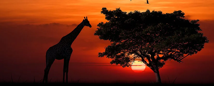 Gün batımının en etkileyici manzaralarını keşfetmek için dünyanın dört bir