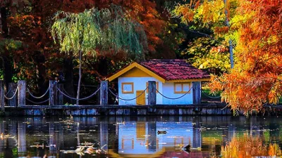 Atatürk Arboretumu, doğayı ve yeşili sevenler için muhteşem bir gezi