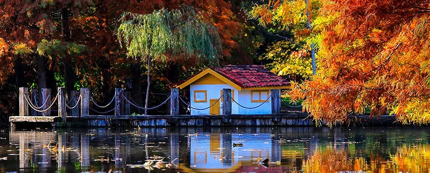 Atatürk Arboretumu, doğayı ve yeşili sevenler için muhteşem bir gezi