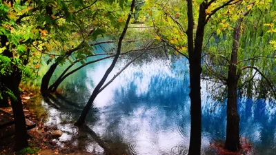 Kahramanmaraş, Akdeniz, Doğu Anadolu ve Güneydoğu Anadolu bölgelerini bir araya