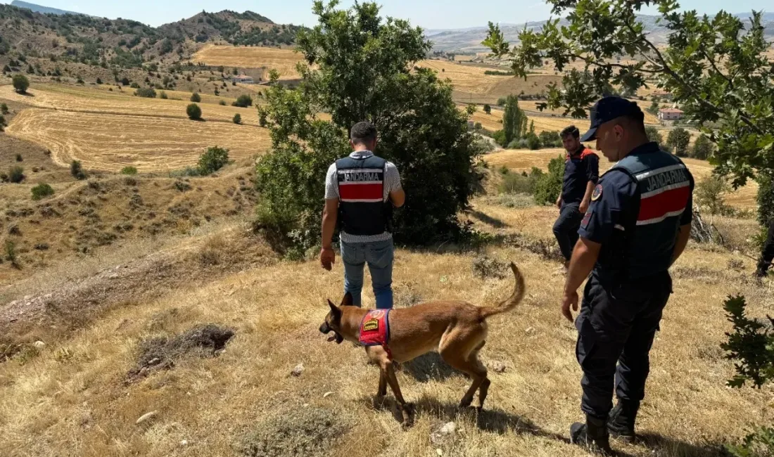 Yozgat’ın Aydıncık ilçesinde günlerdir kayıp olarak aranan Alzheimer hastası Durak