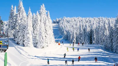 Kış mevsiminin keyfini beyaz zirvelerde kayak ve snowboard yaparak çıkarmak