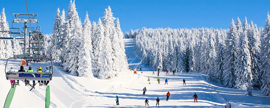 Kış mevsiminin keyfini beyaz zirvelerde kayak ve snowboard yaparak çıkarmak