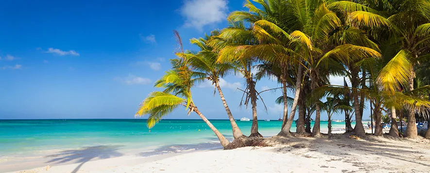 Mart ayı geldiğinde doğanın uyanışını ve baharın yaklaştığını müjdeleyen cemrelerin