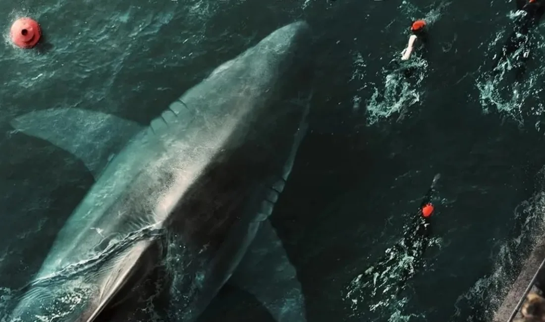 Mississippi Nehri Köpekbalıkları Filmi: Gerilim Dolu Bir Balık Rodeosu ve