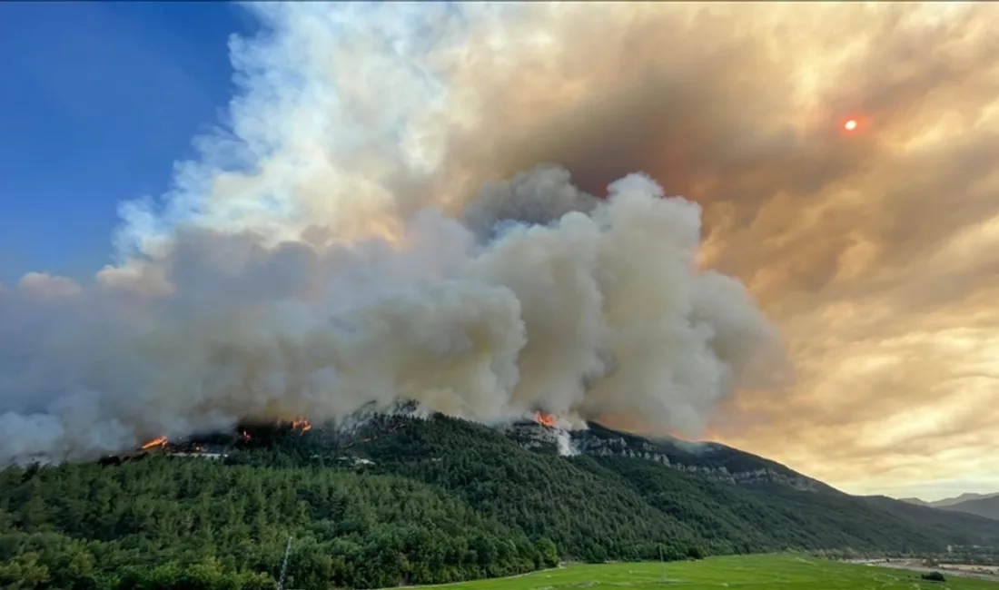 Artan sıcaklıklar ve kuraklıkla birlikte orman yangını riski yükselirken, Yerköy