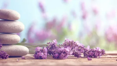 Gezi Yazısı: Otellerde Sağlık ve Hijyen Önlemleri Giriş: Turizm sektöründe