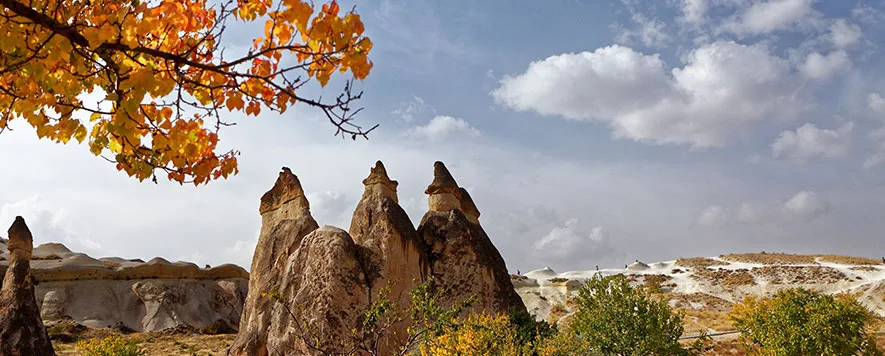 Sonbaharın gelmesiyle birlikte, doğanın renkleri değişmeye başlar ve bu mevsimde
