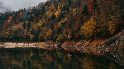 Sonbaharın gelmesiyle birlikte yaz tatilinin tadı damağımızda kalsa da yeni