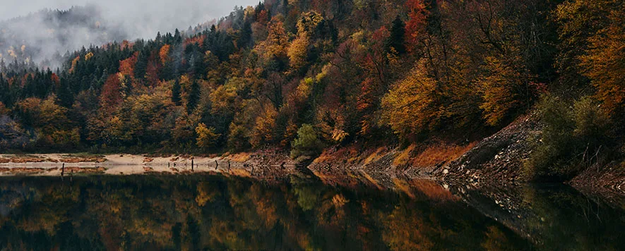 Sonbaharın gelmesiyle birlikte yaz tatilinin tadı damağımızda kalsa da yeni