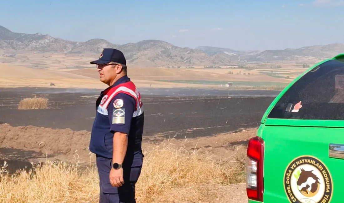 Yozgat İl Jandarma Komutanlığı, çevre, doğa ve hayvanların korunmasına yönelik