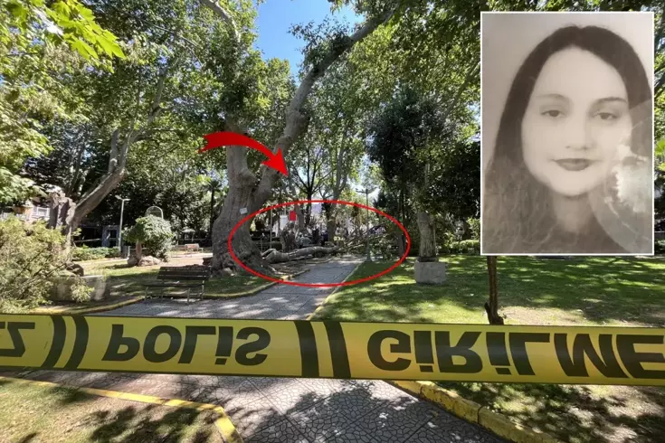 Kocaeli'nde bulunan bir çınar ağacının dalı kırılarak altında kalan 3