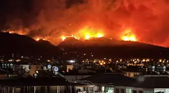 Hatay’ın Dörtyol ilçesinde çıkan orman yangını rüzgarın etkisiyle büyürken, Vali
