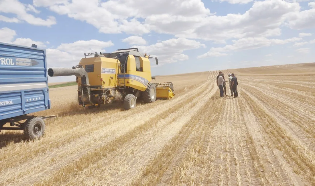 Tarım ve Orman Bakanı İbrahim Yumaklı, çiftçilere yönelik 1 milyar