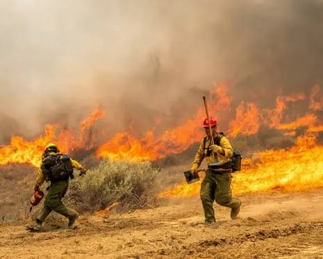 California'nın Santa Barbara County bölgesinde başlayan Madre Orman Yangını, sıcak