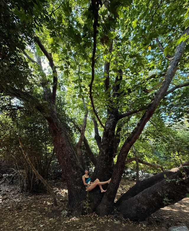 Ağaç tepesinden bikinili poz! Fotoğrafa düştüğü not düşündürücü