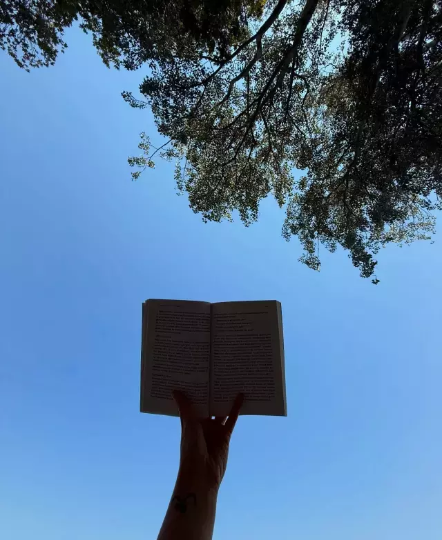 Ağaç tepesinden bikinili poz! Fotoğrafa düştüğü not düşündürücü