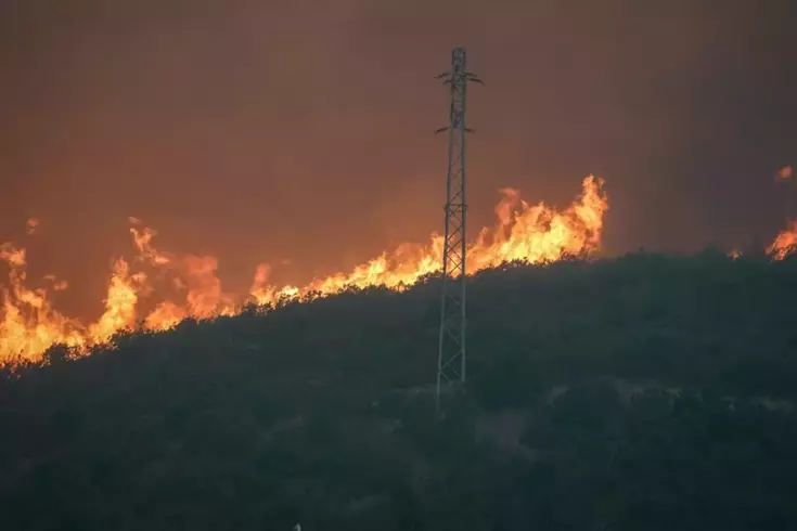 Eskişehir'in Seyitgazi ilçesinde meydana gelen orman yangınında üzücü bir olay