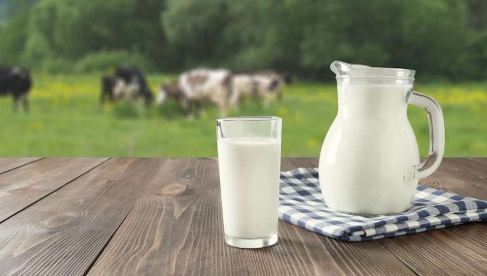 Küçük ölçekli üreticilere haksız ticari uygulamalarda bulunan 4 süt şirketine