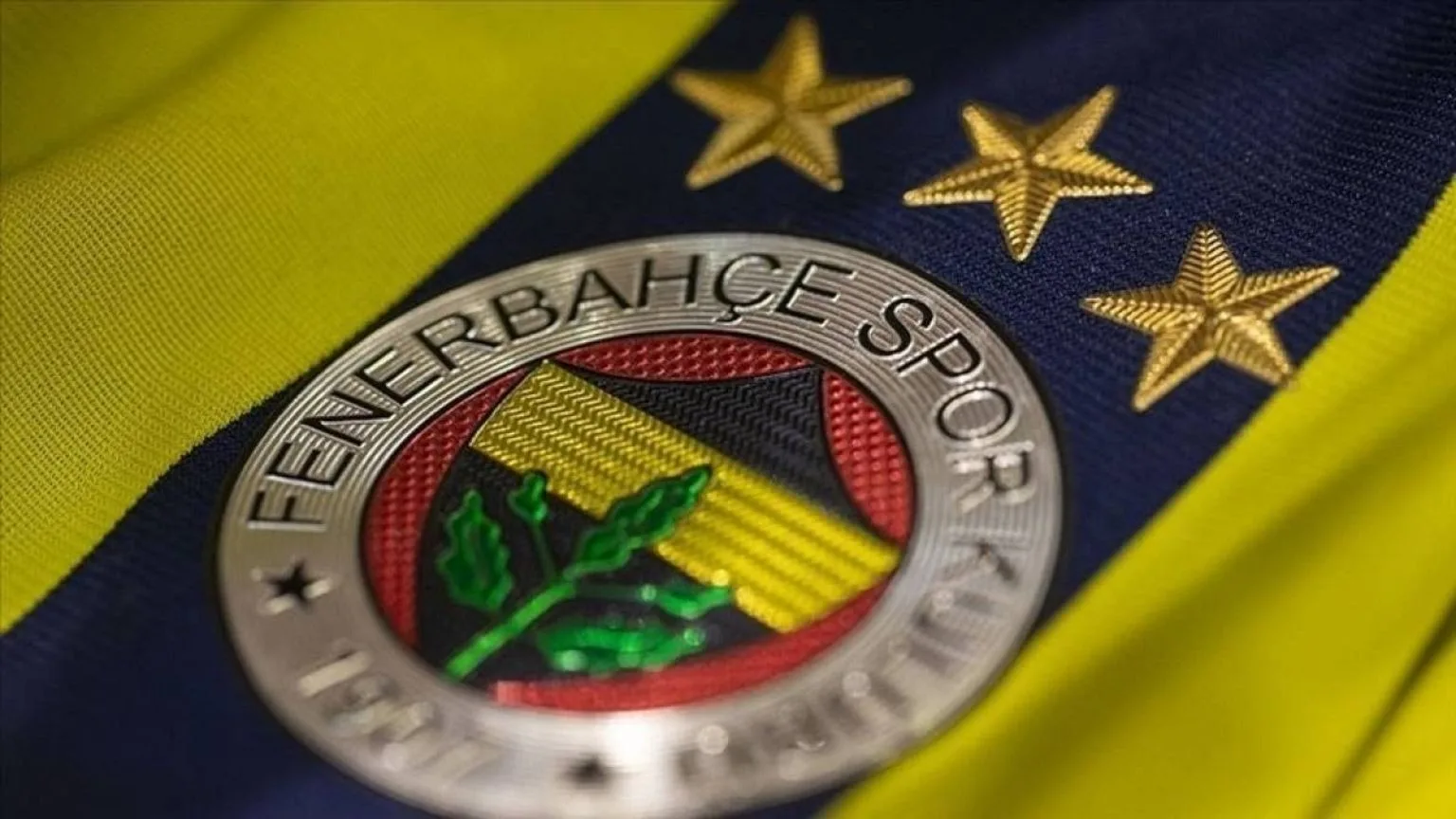 Fenerbahçe Spor Kulübü, kulübün resmi internet sitesi ve sosyal medya