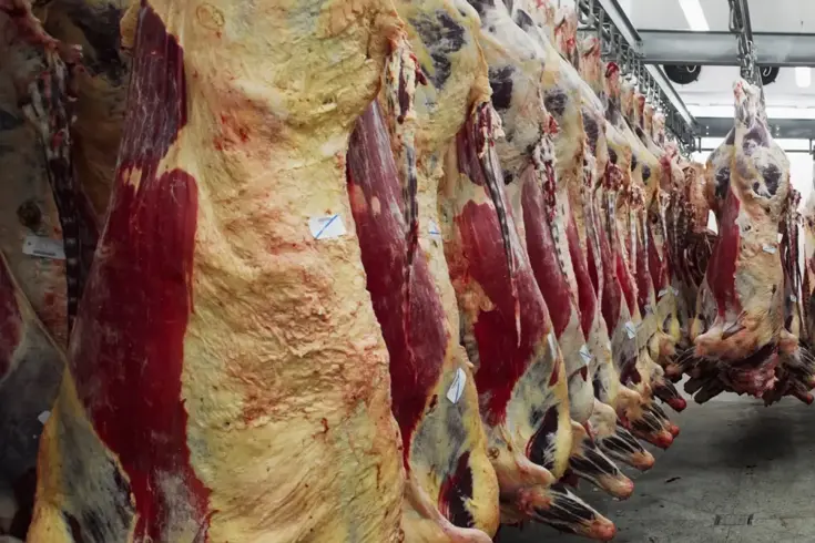 Köklü şirketlerden Seret Et ve Gıda, mali zorluklarla karşı karşıya