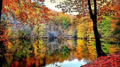 Nefes Kesen Göl Manzaralarıyla Dolu Bir Sonbahar Günü Sonbaharın renk