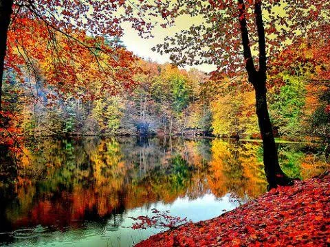 Nefes Kesen Göl Manzaralarıyla Dolu Bir Sonbahar Günü Sonbaharın renk