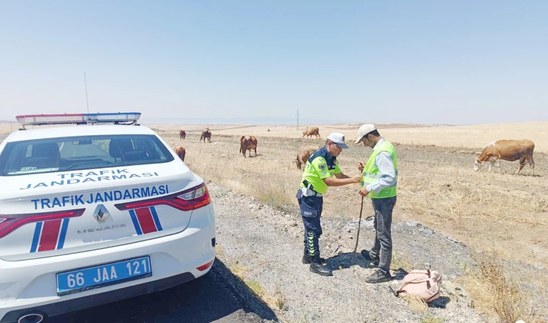 Yozgat Merkez İlçe Jandarma Komutanlığı Trafik Timleri, köy yollarında hayvan