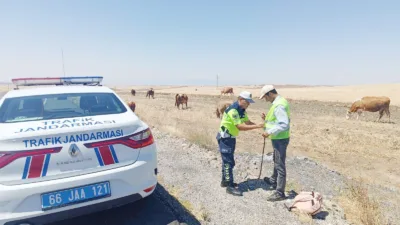 Yozgat Merkez İlçe Jandarma Komutanlığı Trafik Timleri, köy yollarında hayvan