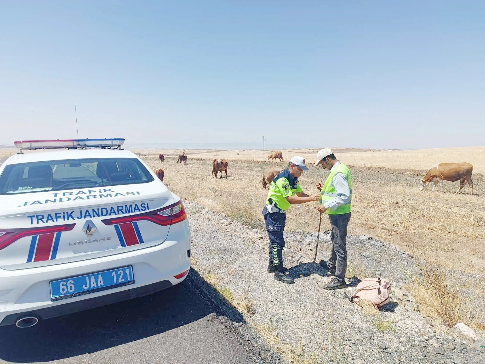 Yozgat Merkez İlçe Jandarma Komutanlığı Trafik Timleri, köy yollarında hayvan