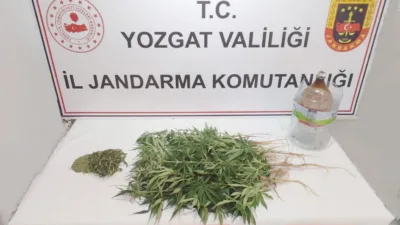 Yozgat’ın Şefaatli ilçesinde jandarma ekiplerinin düzenlediği operasyonda, bir evde kenevir