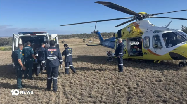 Hayvanat bahçesinde dehşet: Aslanın saldırdığı kadın kolunu kaybetti