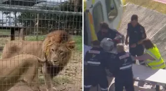 Darling Downs Hayvanat Bahçesi'nde gerçekleşen olayda, Queensland eyaletinden bir kadın,
