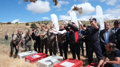 Yozgat Keklik Üretim İstasyonu’nda yetiştirilen bin kınalı keklik, Valilik öncülüğünde