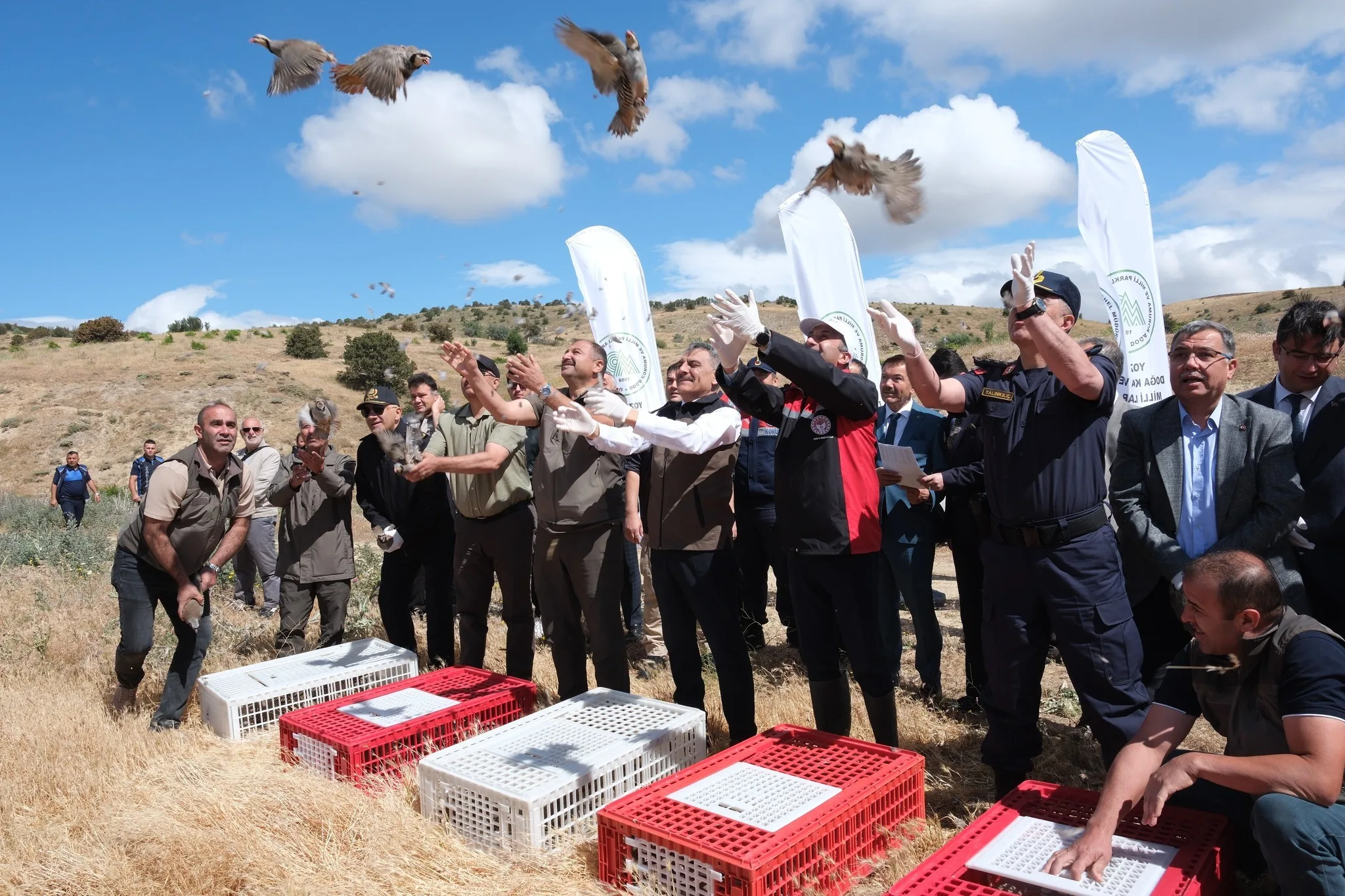 Yozgat Keklik Üretim İstasyonu’nda yetiştirilen bin kınalı keklik, Valilik öncülüğünde