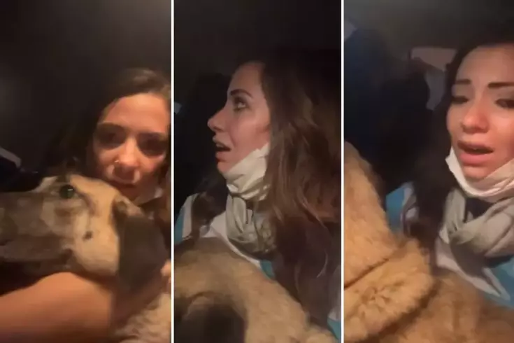 Bursa'nın Kestel ilçesinde başlayan yangın, Gürsu'ya doğru ilerlerken bir hayvan