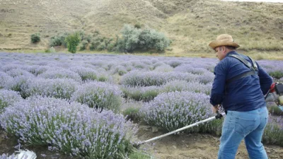 Yozgat İl Tarım ve Orman Müdürlüğü tarafından Sarıhacılı Mahallesi’nde demonstrasyon