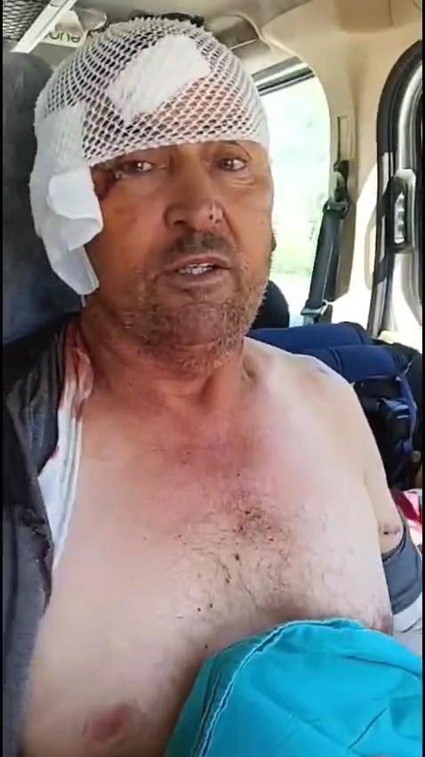 Manavgat'ta hayvan parkından kaçan aslan öldürüldü