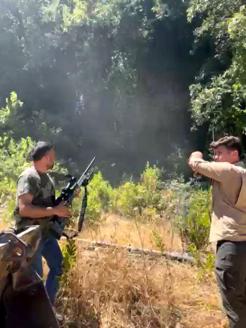 Manavgat'ta hayvan parkından kaçan aslan öldürüldü