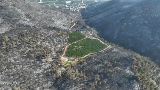 Bursa'yı kül eden alevler bir tek oraya ulaşamadı! Nedeni herkese ders olacak cinsten