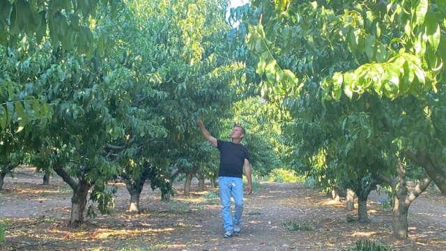 Bursa'yı kül eden alevler bir tek oraya ulaşamadı! Nedeni herkese ders olacak cinsten