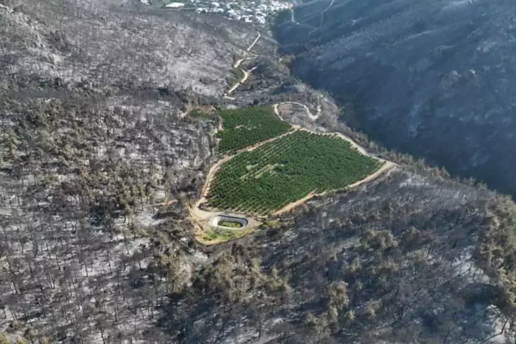 Bursa'nın Gürsu ilçesinde meydana gelen orman yangınında yok olan alanın