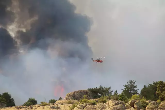 Faciada yaralanan orman görevlisinin feryadı kahretti: Yanıyorum, kurtarın beni