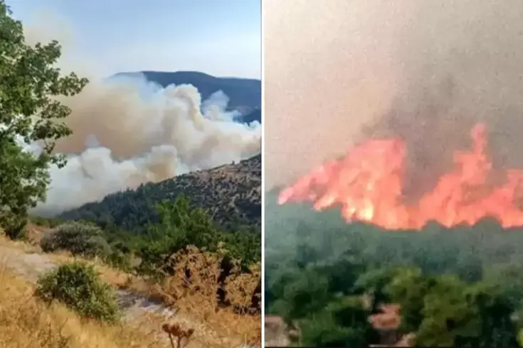 Bursa'nın Büyükorhan ilçesi ile Balıkesir'in Dursunbey ilçesi arasında başlayan orman