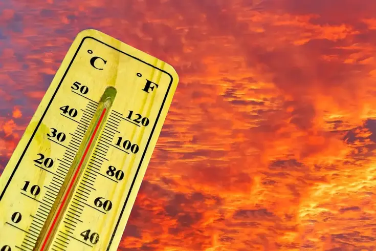 Tarım ve Orman Bakanı İbrahim Yumaklı, önümüzdeki hafta ülke genelinde