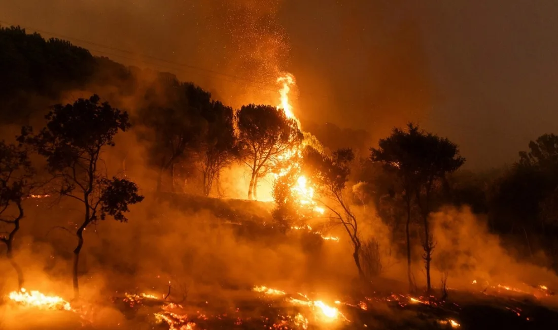 Türkiye genelinde etkili olan sıcak hava ve rüzgarın da etkisiyle