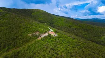 Akdağmadeni Belediye Başkanı Nezih Yalçın, sıcak havalarda orman yangınları riskine