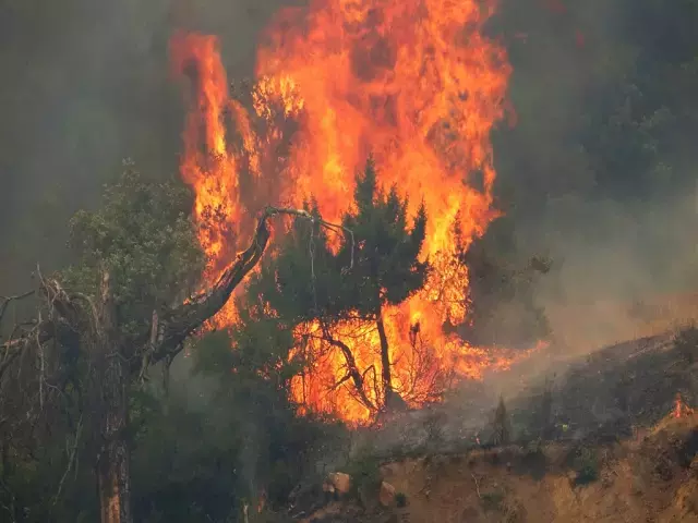 Bakan Murat Kurum: Orman yangınlarında toplam 104 yapının ağır hasarlı ya da yıkık